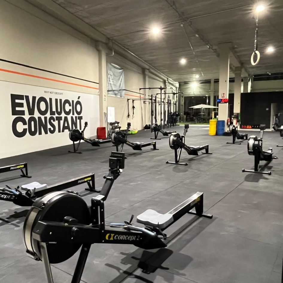 WhatsApp Image 2026-04-12 at 13.04.51